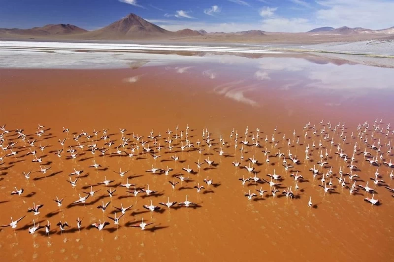 10 потрясающих видов на пустыни с воздуха