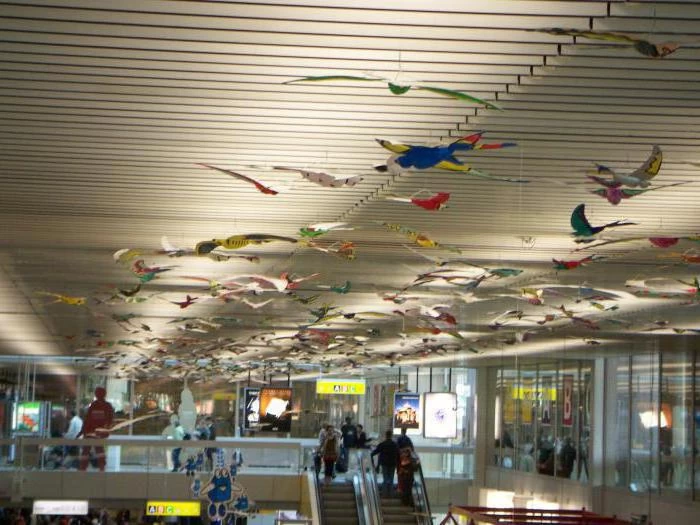 Аэропорт Женевы: краткие сведения