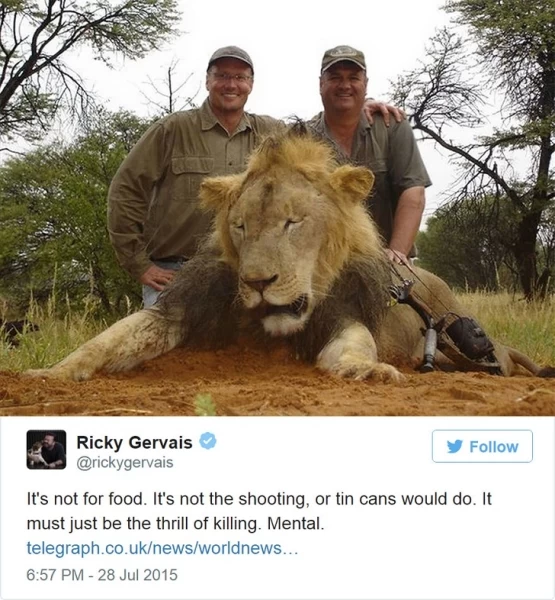 Американец, убивший известного льва, вызвал ярость в интернете и закрыл свой стоматологический кабинет