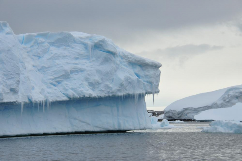 Антарктида: Остров Booth, бухта Port Charcot