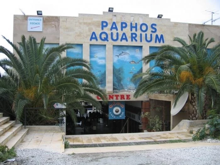 Бутик-отель эконом-класса Pinelopi Beach Hotel Apts, Кипр, Пафос