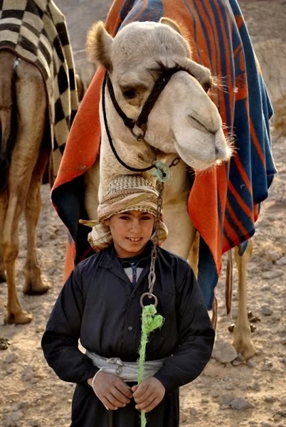 Camel Race, а еще, как не спешить по-бедуински