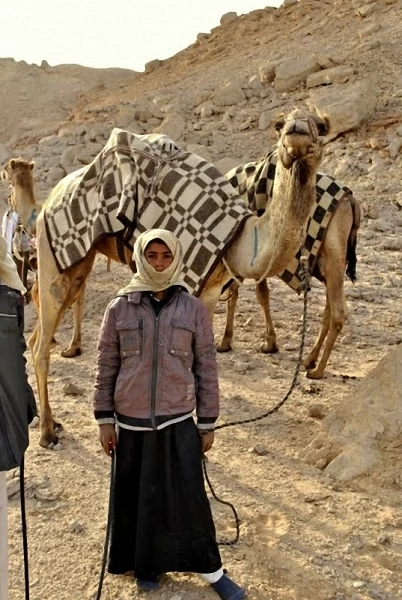 Camel Race, а еще, как не спешить по-бедуински
