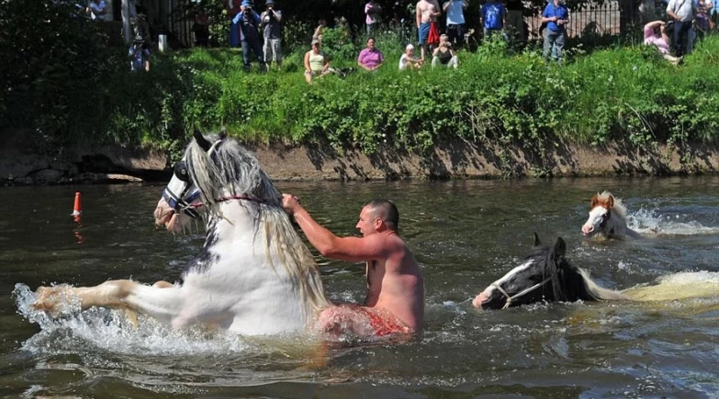 Цыганская конная ярмарка в Эпплби