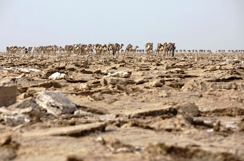 Долина смерти в Эфиопии: как выглядит самое безжизненное место на планете