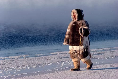 Где живет эскимос? Территория расселения и жилище эскимосов
