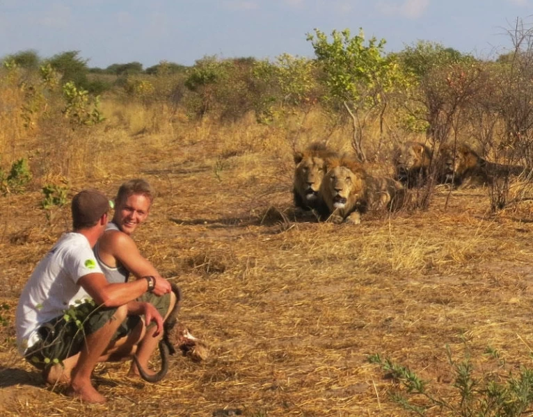 Как я жил со львами в Ботсване