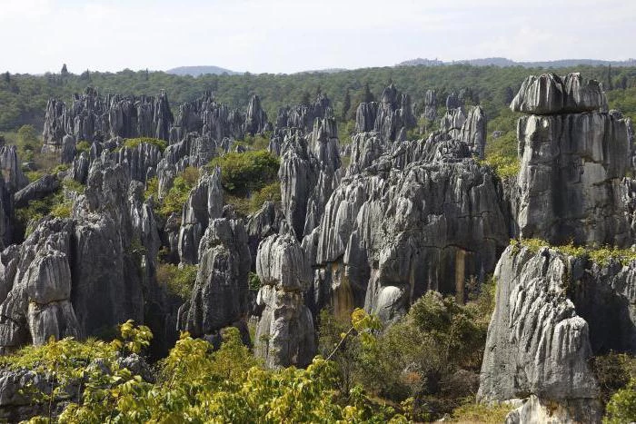 Каменный лес Китая – удивительное чудо природы 