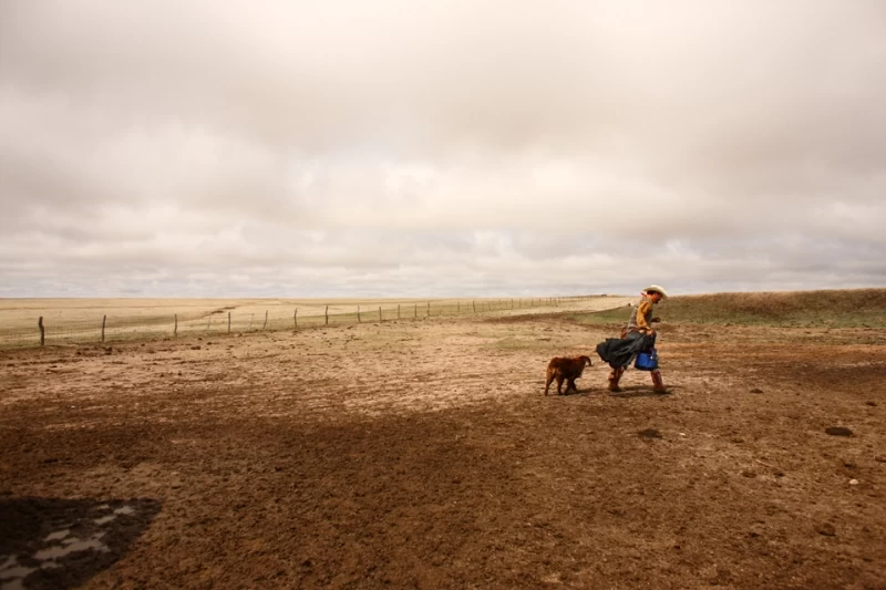 Клеймение скота на ранчо "Bledsoe"