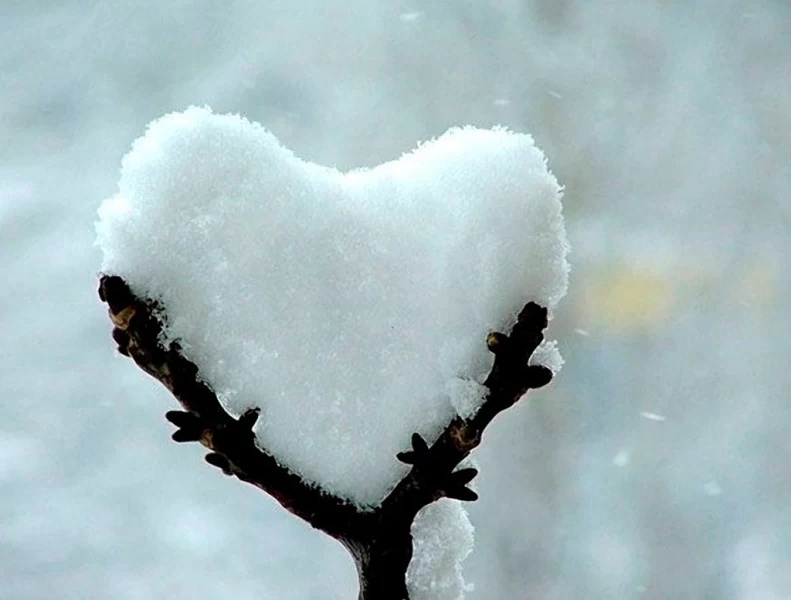 Ко дню Святого Валентина: Сердца, всюду сердца!