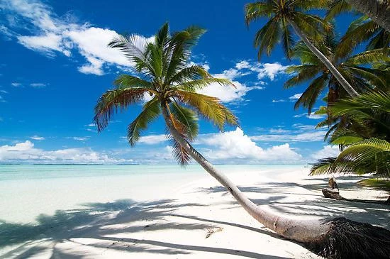 Кокосовые острова: фото и отзывы туристов