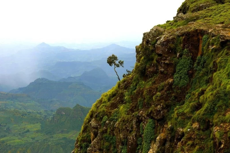 "Крыша Африки": впечатляющая красота Эфиопского нагорья