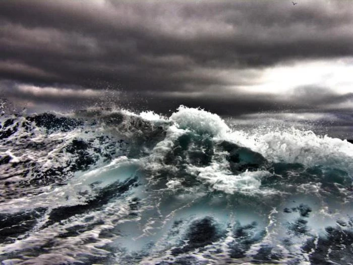 Море Лабрадор: описание водоема и фото
