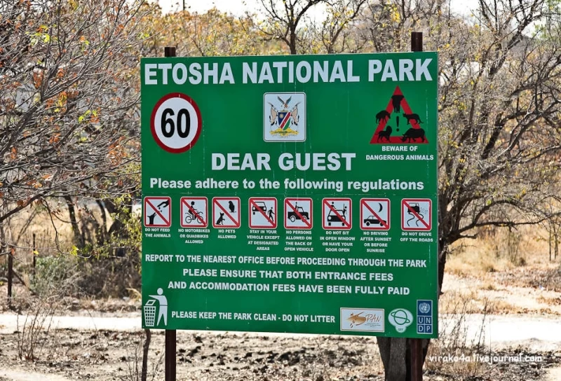 Национальный парк Этоша в Намибии