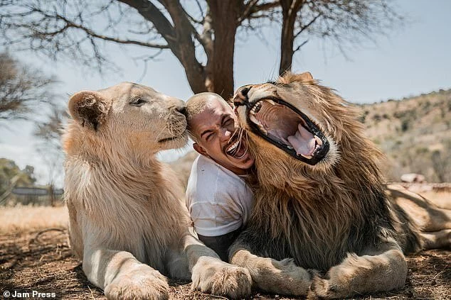 Обнимая львов: Дин Шнайдер, швейцарский финансист, который бросил все и уехал в Африку