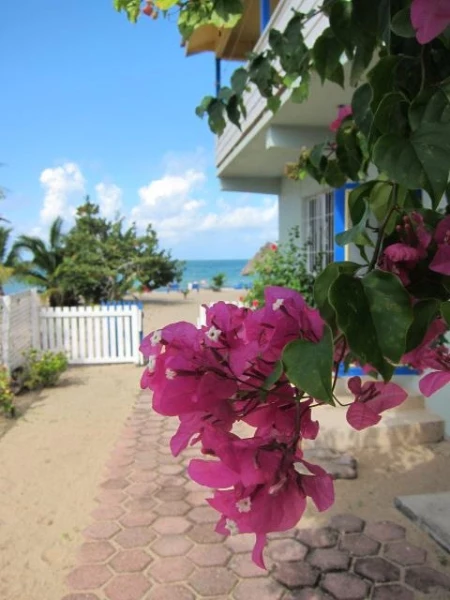 Отель Oasis Beach Club 4 Hv: описание и отзывы 