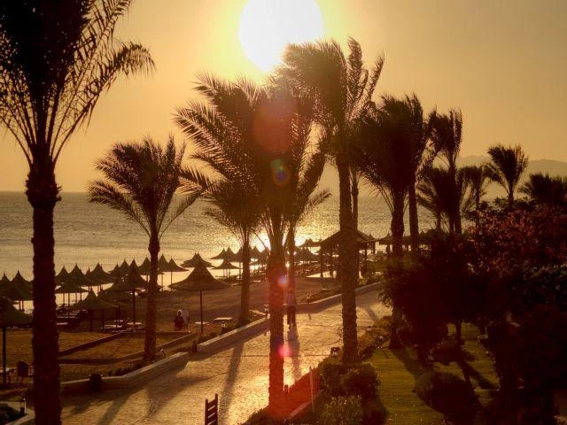 Отель Tiran Island Hotel 4*, Египет: отдых на побережье Красного моря