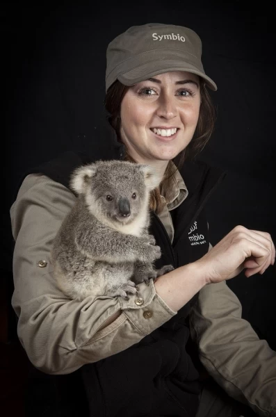 Первая фотосессия крошки коалы