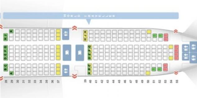 Расположение мест в самолете. Схема салона самолета
