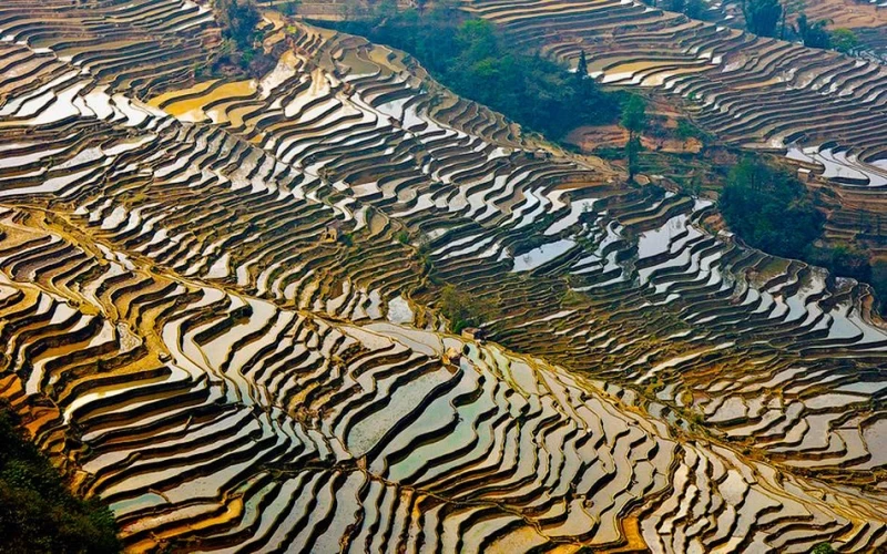 Рисовые террасы Хунхэ-Хани включены в Список Всемирного наследия ЮНЕСКО