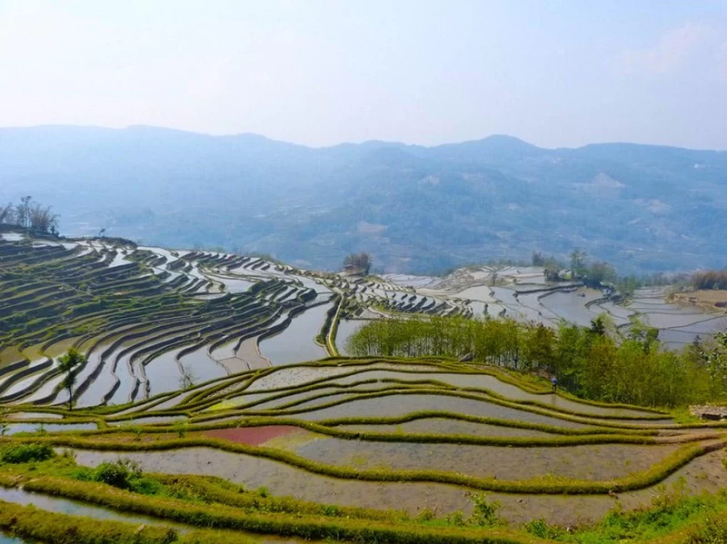 Рисовые террасы Хунхэ-Хани включены в Список Всемирного наследия ЮНЕСКО