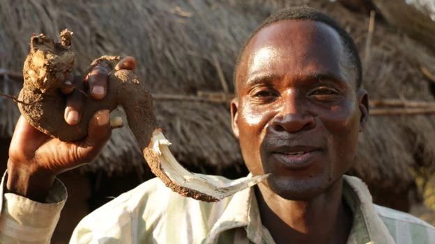 Ритуальная педофилия: исповедь человека-гиены из Малави