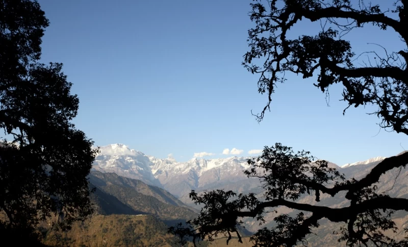 Роскошный отдых в Гималаях – Shakti 360° Leti