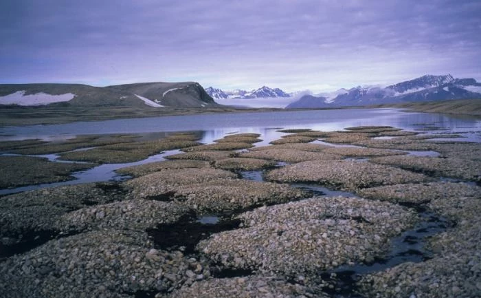  Северная страна Норвегия: климат, растительность, красоты природы