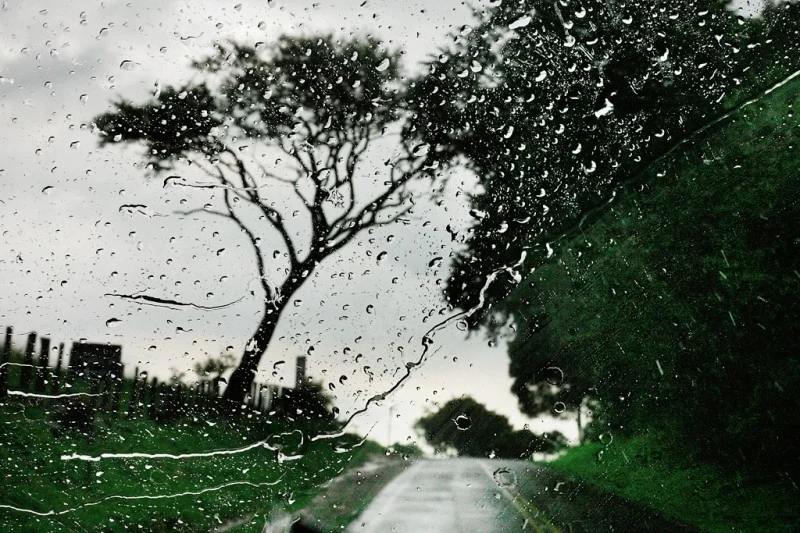 Шум дождя. Фотограф Кристоф Жакро