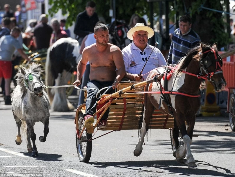 Смешались в кучу кони, люди: что творят тысячи цыган на конной ярмарке в Эпплби