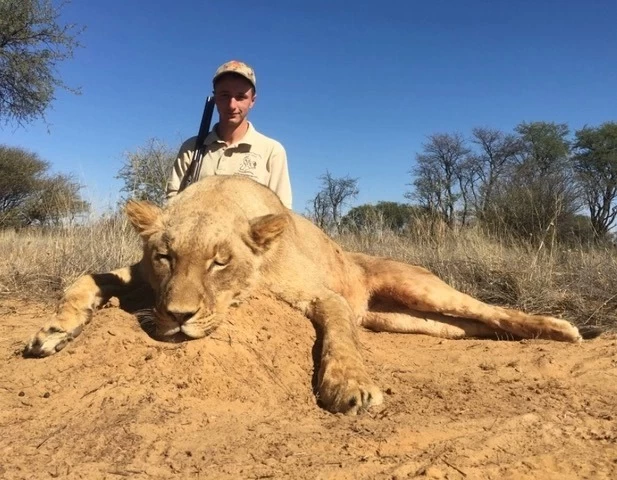 Узаконенное убийство: защитники животных выступают против охоты за трофеями в Южной Африке