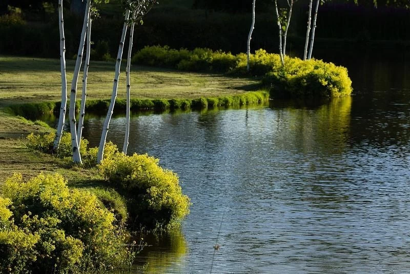 Восхитительный сад Maple Glen в Новой Зеландии
