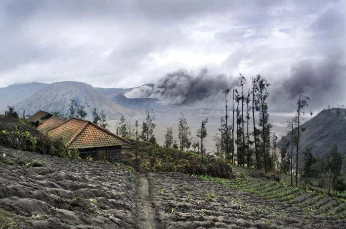 Вулкан Бромо в Индонезии: фото и описание