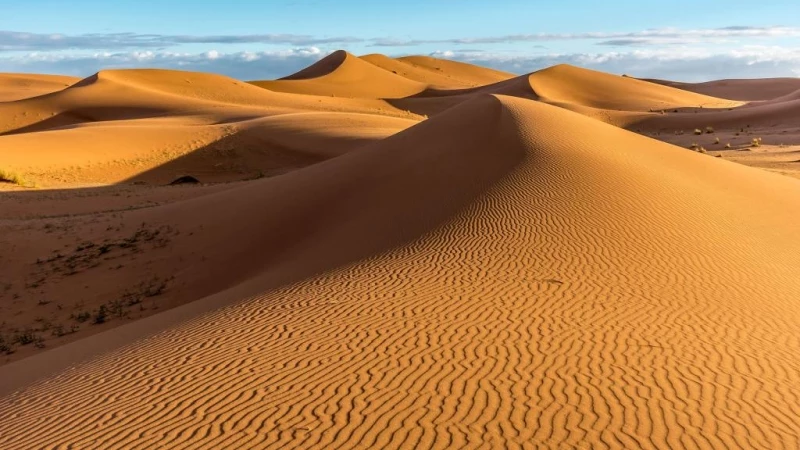 Западная Сахара: история и экономика