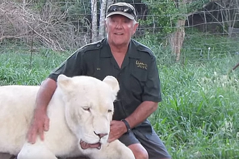Защитника природы во время игры растерзали две его любимые белые львицы