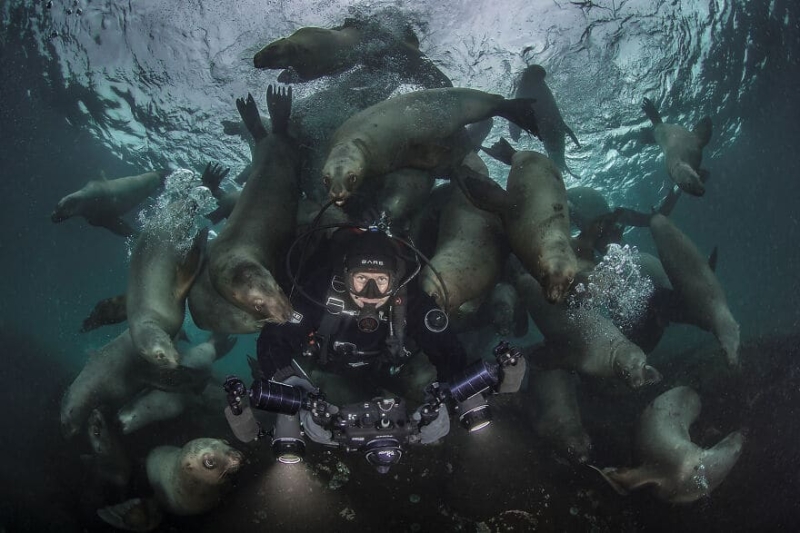 10 удивительных подводных снимков от финалистов конкурса Ocean Photography Awards 2021