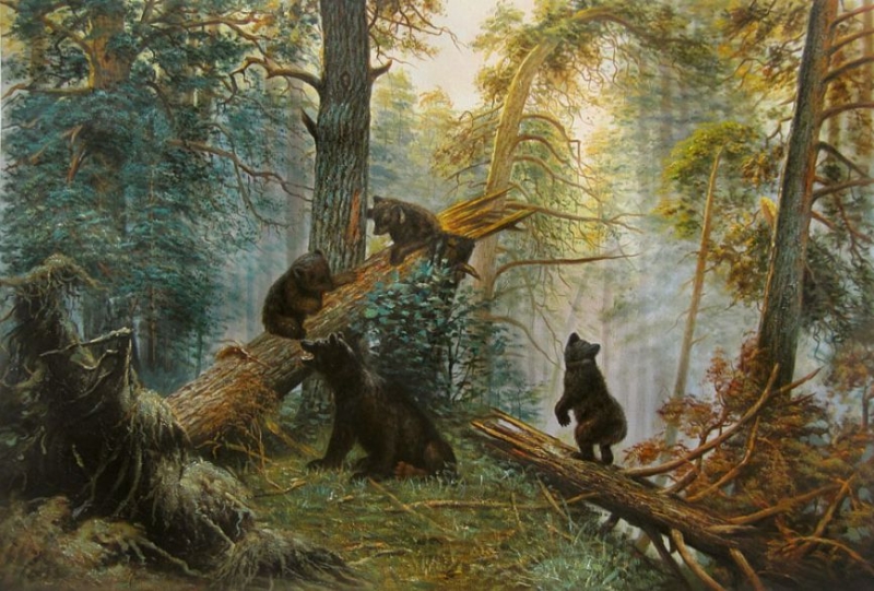 12 КРАСИВЫХ видов на русский лес от Ивана Шишкина 