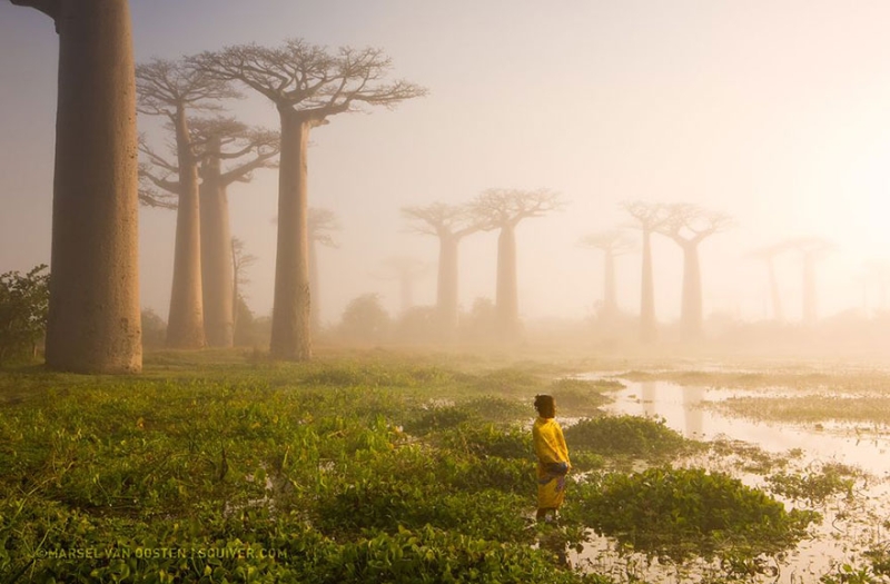 20 лучших фотографий National Geographic за 2015 год 