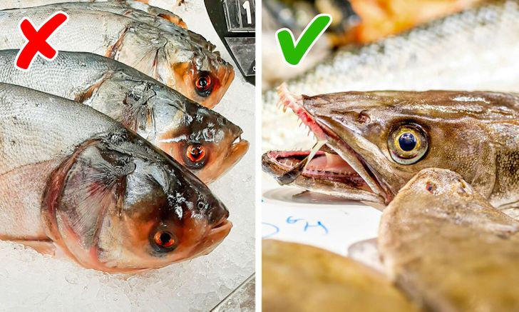 7 признаков того, что вы собираетесь покупать рыбу, которую опасно есть 