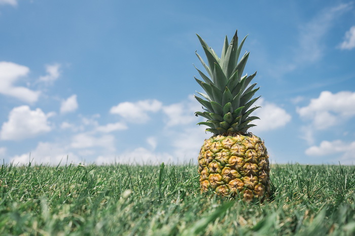 8 самых интересных фактов о ананасах 