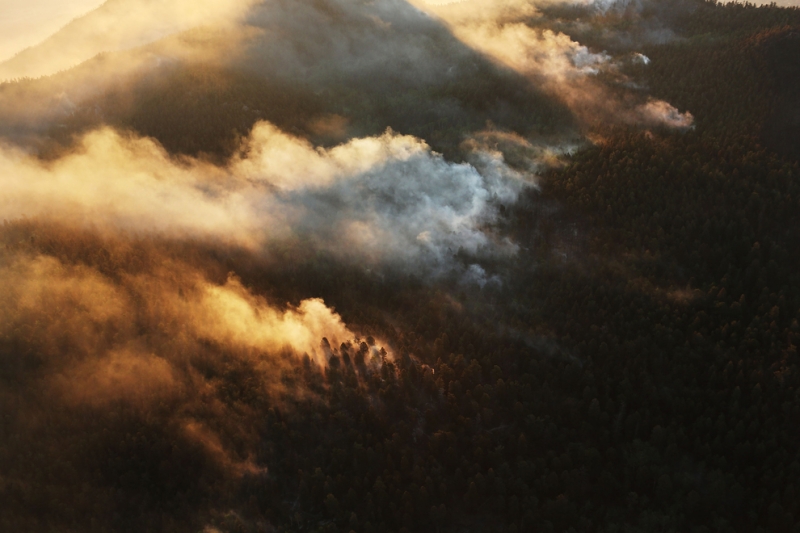Беспощадная стихия: Лесные пожары на западе США (20 фото)