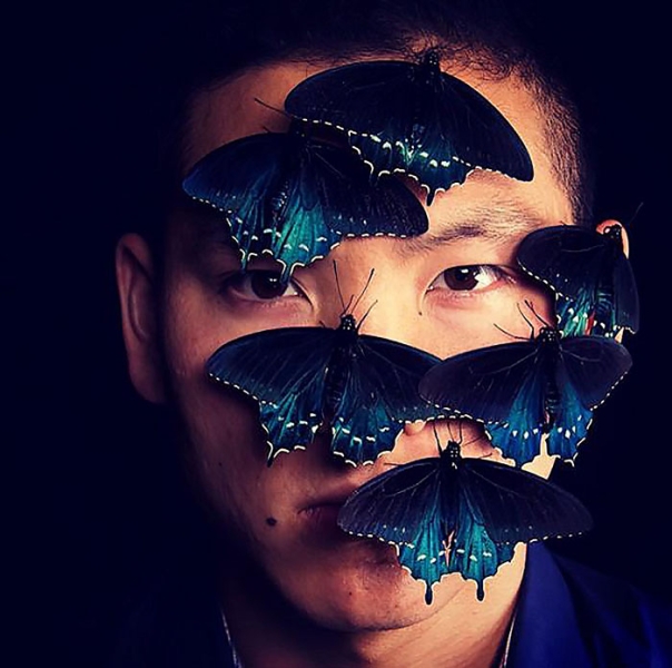 Биолог выводит исчезающий вид бабочек у себя в саду 