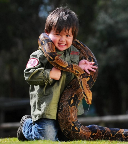 Двухлетний «укротитель рептилий» (5 фото)