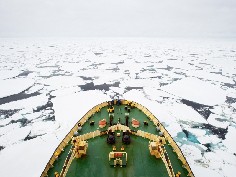 Эти 20 фотографий заставят вас влюбиться в Антарктиду