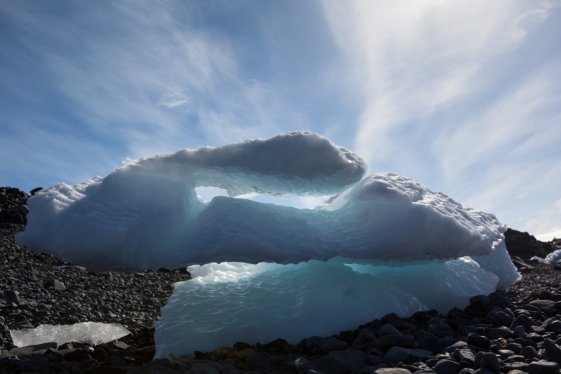 Эти фото изменят ваше представление об Антарктиде