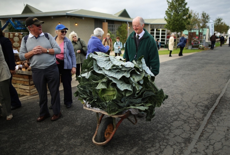 Фестиваль урожая в Англии: Гигантские кабачки, луковицы и прочие фермерские шедевры (13 фото)