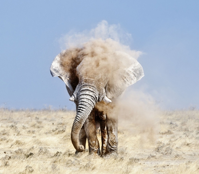 Фотоконкурс National Geographic 2012 (36 фото, продолжение)