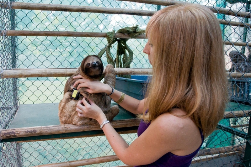 Костариканская обитель ленивцев (10 фото)