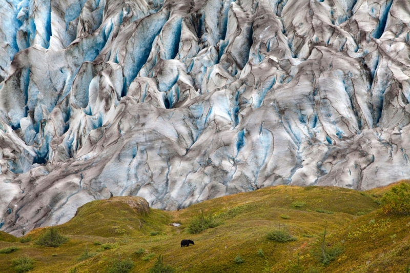 Лучшие фотографии National Geographic: Планета Земля (15 фото)