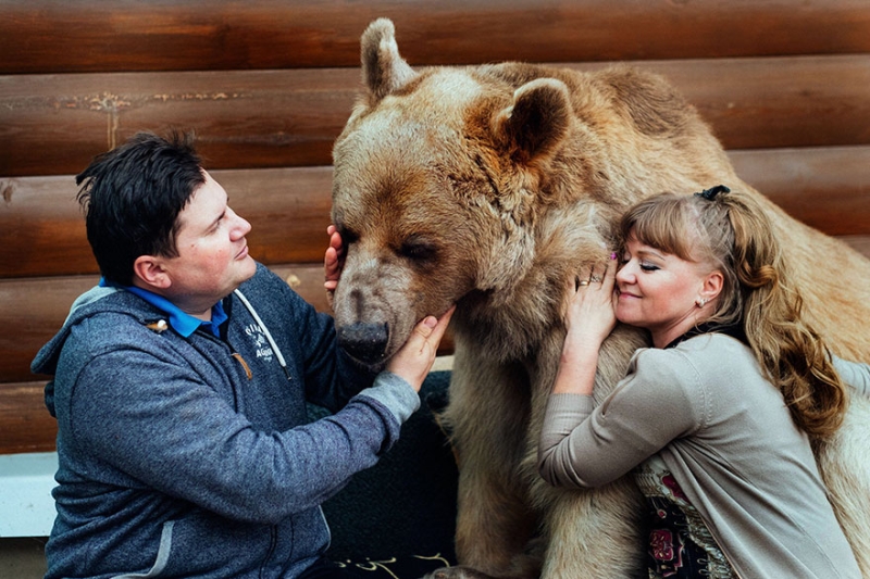 Медведь Степан из России 